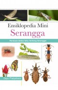 Ensiklopedia Mini Serangga: Panduan Serba Tahu Tentang Serangga